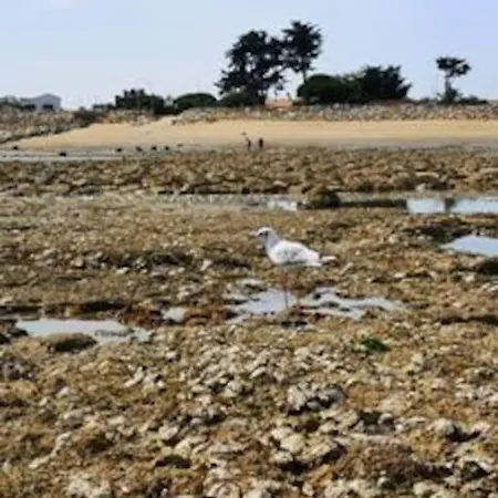 Maison De Vacance Proche De La La Brée-les-Bains