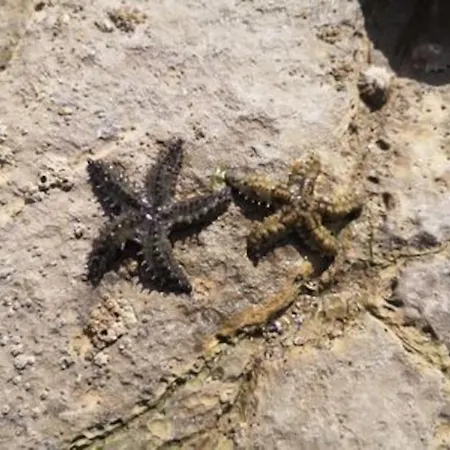 Maison De Vacance Proche De La